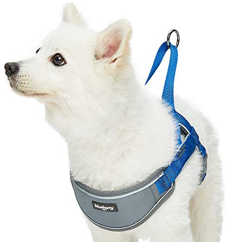 Blueberry Pet 8 Colors Soft & Comfy 3M Reflective Strips Padded Dog Harness Vest, Chest Girth 20.5