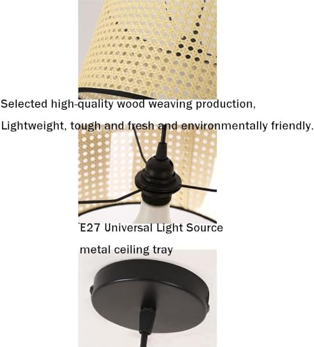 Abat-jour cage lampe shade pendante faite à main design CFWSHJ - 2