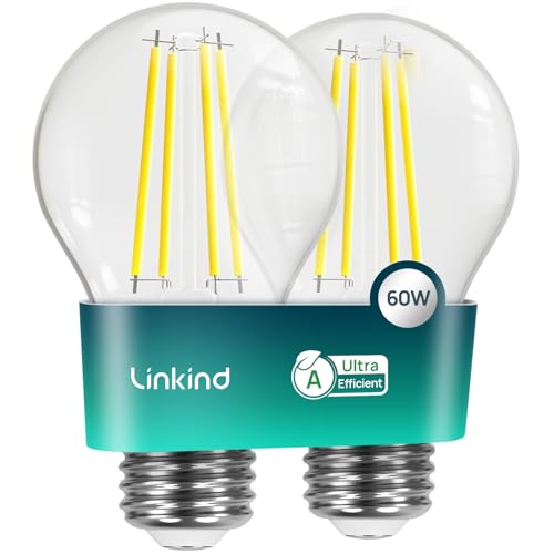 Linkind Ultraeffiziente E27 Lampe Vintage, 3,8W=60W, 2700K Warmweiß mit Energie Klasse-A, Filament A60 Edison 806 Lm, 320°Abstrahlwinkel, Klar, 2 Stück