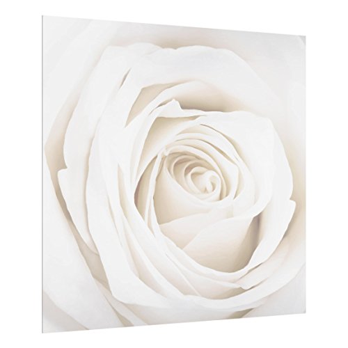 Spritzschutz Glas - Pretty White Rose - Quadrat 1:1 59cm x 60cm