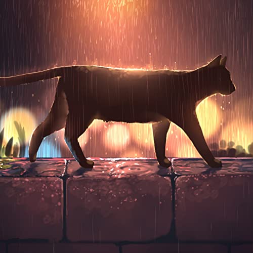 La Via Della Consapevolezza