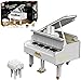 FCHJJ Set di Blocchi da Micro Costruzione per Pianoforte,2745 Pezzi, Idee Mattoni per Pianoforte Giocattolo per Adulti, Bambini, Compatibile con Legos Dynamic,B