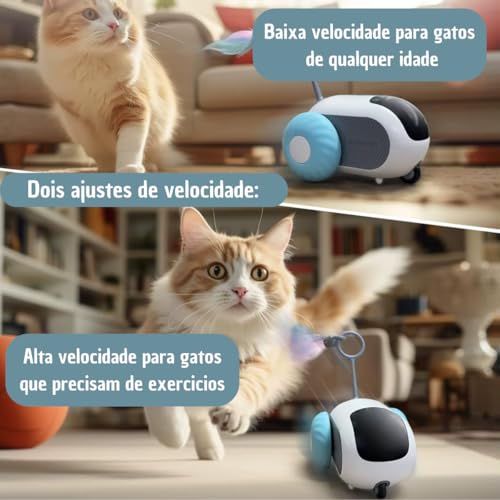 Kit Brinquedo Interativo Para Gatos e Cachorros – Bolinha Automática + Carrinho Controle Remoto, Est
