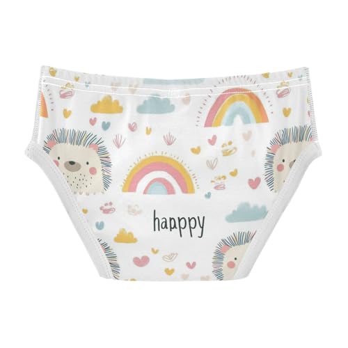 Wusikd Cute Hedgehog Boys' Underwear Cotton Rainbow Clouds Boys Briefs Soft Toddler Underwear 2T2