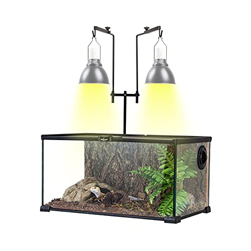 Top 20 Best Lights For Leopard Geckos For 2022 BNB