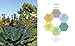 The Regenerative Garden: 80 Practical Projects for Creating a Self-sustaining Garden Ecosystem