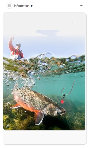 Set de accesorios de pesca 280 piezas para carpa y pesca general miniatura 6