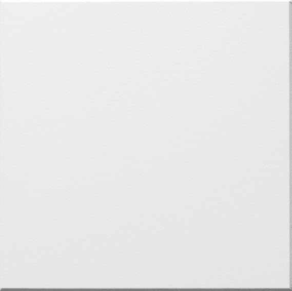 Suspended Vinyl PVC Gypsum Laminated Tiles - Easy Clean & Wipe Able 595mm x 595mm