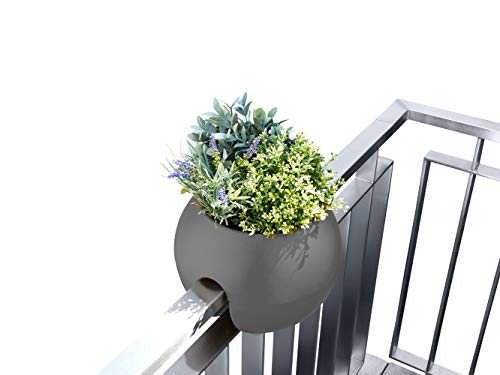 rephorm® ballcony bloomball