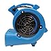BlueDri Mini Storm 1/12 HP Mini Air Mover Carpet Dryer Floor Squirrel Cage Blower Fan for Home Floors and Carpets, Blue (SA-MI-BL)