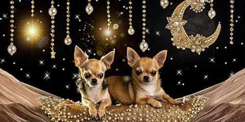 Peinture Diamond Enfant et Adulte 5D Kit Point de Croix Chien Lune A-598