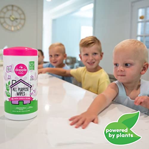 All Purpose Wipes by Dapple Baby, Hypoallergenic Cleaning Wipes Powered by Plants, Hint of Lavender, 75 Count Canister (Pack of 2) + 30 Count (Pack of 2) - Thumbnail 2