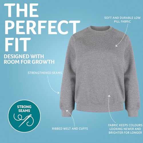 Trutex Crew Neck School Sweatshirt (1-16+ Years), Unisex Uniform Boys and Girls, Standard Fit Jumpers for Boys and Girls, Sweatshirt Kids - Genuine School Uniform