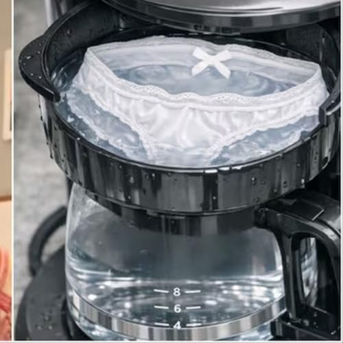 Panties In A Hotel Coffeemaker, A Drunk Pediatric Dentist, and A Romp With Roadkill