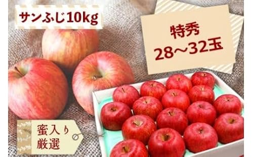 [2025年11月〜12月発送]蜜入厳選!「特秀」サンふじりんご10kg_H138(R7)