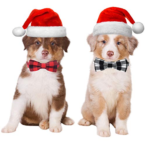 Malier 2 Pack Dog Collar with Bow tie, Cute Plaid Pattern Dog Collar with Bow tie and Durable Buckle Collar for Small… - Image 7
