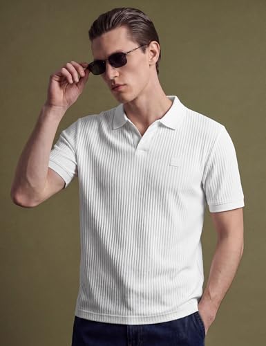 Image of DAMENSCH Men Striped Texture, Cotton-Rich Comfort, Easy Regular fit, Solid Colours Striped Polos