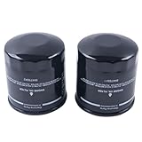 NETYANPI 2X Oil Filters 87409203 BT8409 HF28783 6002112110 57181 LF16011 700723604 for Massey
