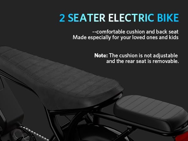 OUXI V8 Two-Seater Electric Bike