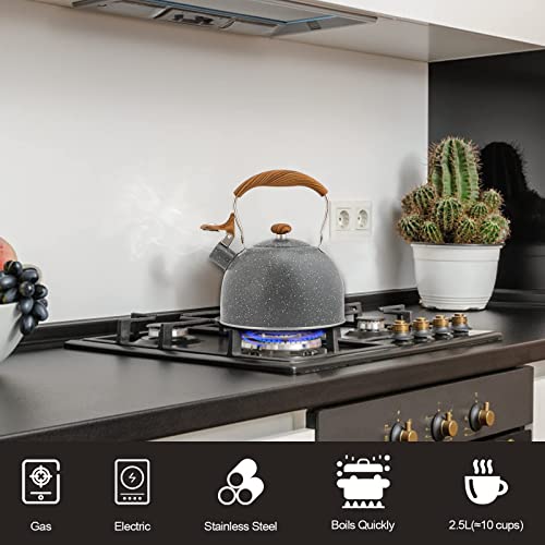 2.6 Quart/2.5 Liter Whistling Tea Kettle Stainless Steel Tea Pots For Stove Top Stylish Kettle With Wood Pattern Anti-Slip Handle,Grey #TOP3