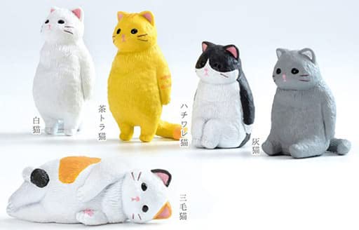 Amazon.co.jp: Nothing, Cat (Resale) [Set of 5 Types (Full Comp