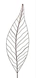 Crispe home & garden
