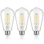 DiCUNO Vintage Edison Light Bulb E27 Edison Screw Bulb ST64, 6W Equivalent to 60W, Filament Clear LED Bulb, Warm White 2700K, 810LM, Non-dimmable, 3 Pcs