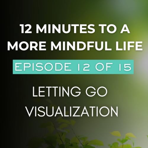 Episode 12 of 15 | Letting Go Visualization | 12 Minutes to a More Mindful Life