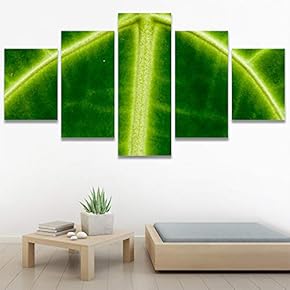 SIGNWIN 5 Panel Canvas Wall Art Abstract Colorful...