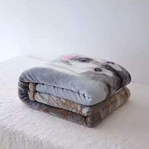 Searchi Wolf Sherpa Fleece Throw Blanket Super Soft Fluffy Sherpa Throw Blanket Reversible Sherpa Fleece Throw Blanket Warm Cozy Fuzzy Plush Lightweight Flannel Blankets For Bed Sofa Couch #TOP5