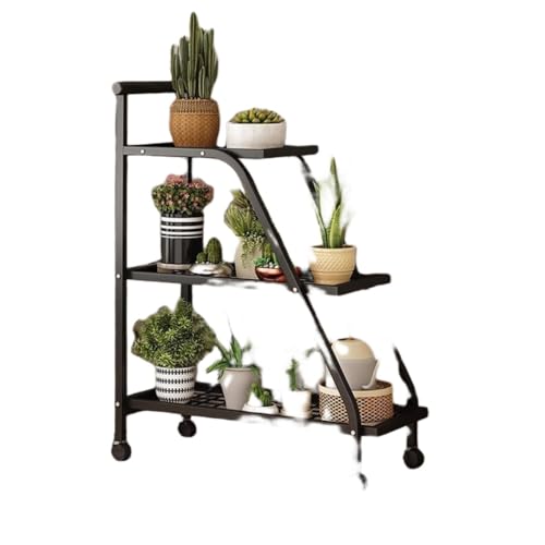 Diexgiy ړ\Ȓit܂肽ݎt[X^hAщOp[bNArO[oRj[p̃NGCeBuȑAJ[gB (2K,ubN)