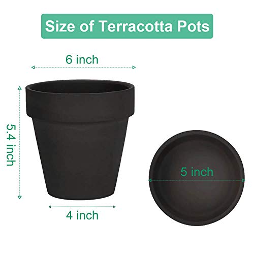vensovo 15CM Black Terracotta & Clay Pots for Plant with Saucer, 4 Pack Medium Terra Cotta Planter with Drainage Hole - Image 2