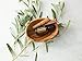 DoTERRA - Cassia Essential Oil - 15 mL