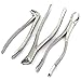 AA PRO 3 PCS Dental Forceps 23, 151, MD3 Lower MOLARS INCISORS Canines Roots EXTRACTING Dental Instruments A+ Quality