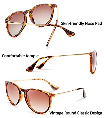FEISEDY Polarized Sunglasses Women Men Vintage Round Classic Mirrored Sun Glasses B25713