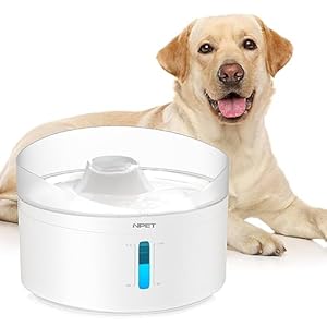 NPET Fuente de agua para perros y gatos, dispensador automático de agua para perros grandes, con control para perros, gatos y múltiples mascotas, fuente de agua para perros con 2 filtros, DF20
