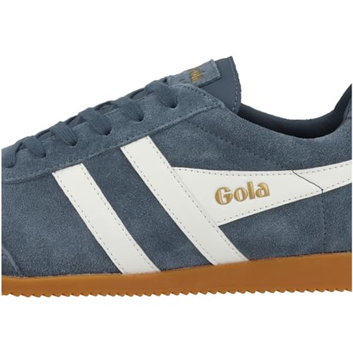 Image of Gola Harrier