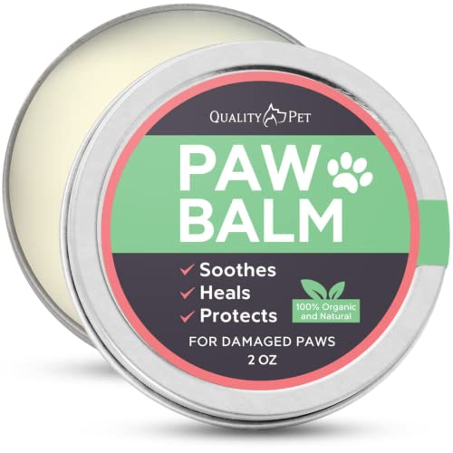 Best Balm For Dog Paws (And Why Using It is Important!) Born For Pets