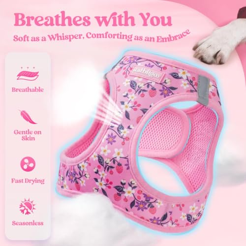 Image of rabbitgoo Dog Harness Medium Sized and Leash Set, Step-in Puppy Pet Vest
