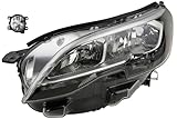 Auto Scheinwerfer, Autoscheinwerfer, Daytime Running Light, daytimerunning light, DRL, Fern Licht, Fern Scheinwerfer, Fernscheinwerfer, Fog Lamp, Fog Light, Foglamp, Foglight, Frontlicht, Head Light, Headlamp, Headlight, Nebel Leuchte, Nebel Licht, Nebel Scheinwerfer, Nebel- und Fernscheinwerfer, Nebellampe, Nebelleuchte, Nebellicht, Nebelscheinwerfer, NSW, Tag Fahr Licht, Tagfahr Leuchte, Tagfahrleuchte, Tagfahrlicht, TFL