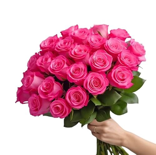 Ramo de Rosas Rosa Oscuro DECOALIVE Bouquet de 25 Flores Rosa Oscuro Frescas y Naturales