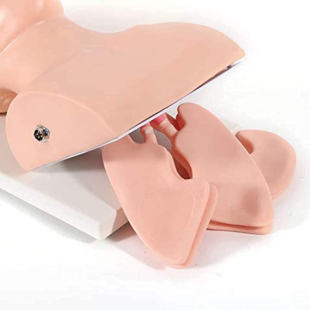 Intubation des Atemwegsmanagement Trainers 110-220V Intubation Manikin Training Simulator Airway Management Trainer Intubation Leiter Unterrichtsstudie Model Manikin