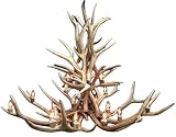 Real ELK Antler Chandelier, Two Tiers, 15 Lights, SHED Antler Art, ELK Antler Covered SOCKETS Handmade, Extra Large, 52' Wide x 38' Tall
