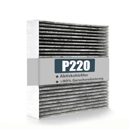 Aktivkohlefilter Dunstabzugshaube für Oranier P220 / PAK220 / 9209 20/21/22/23 Kompatibel mit Oranier KFA 9969 KFL 2092 KFL 2094 KXI 1062 KXI 1082 KXI 1092 (220x220x50mm)