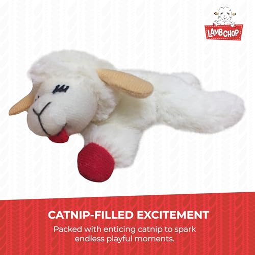MULTIPET Cataire Lamb Chop 4" mini herbe à chat pour petit doudou interactif chaton - 7