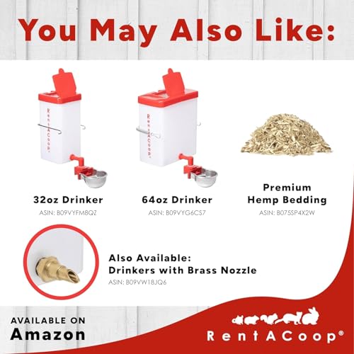 Mangeoire en métal lapins RentACoop avec bac de grande capacité robuste - 6