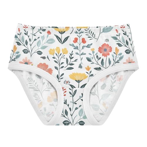 Wusikd Flowers Girls' Underwear Cotton Leaves Girls Briefs Soft Toddler Underwear 2T