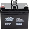 Interstate Batteries 12V 35Ah Battery (Insert Terminal) SLA AGM VRLA Rechargeable Replacement for Construction Devices, Electric Stations, Backup Energy Storage (SLA1156)