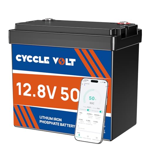 CYCCLEVOLT 12V 50Ah LiFePO4 Lithium Batterie 100A Bluetooth BMS 640Wh Niedertemperaturschutz 8000+ Zyklen für Camping Wohnmobil Trolling Motor Roadtrip
