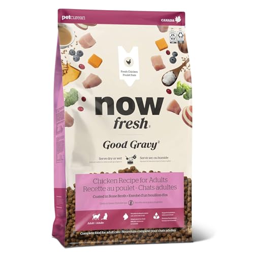Now Fresh Good Gravy Grain-Free Dry Cat Food with Chicken, Healthy Kibble for Adults & Seniors Coated in Bone Broth – Just Add Water to Moisten, with Pumpkin for Sensitive Stomachs, 3 lb Bag